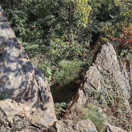 Вилла "Kleinstes Haus Von Blankenburg" Urlaub In Einem Einzigartigen Baudenkmal Бланкенбург Экстерьер фото