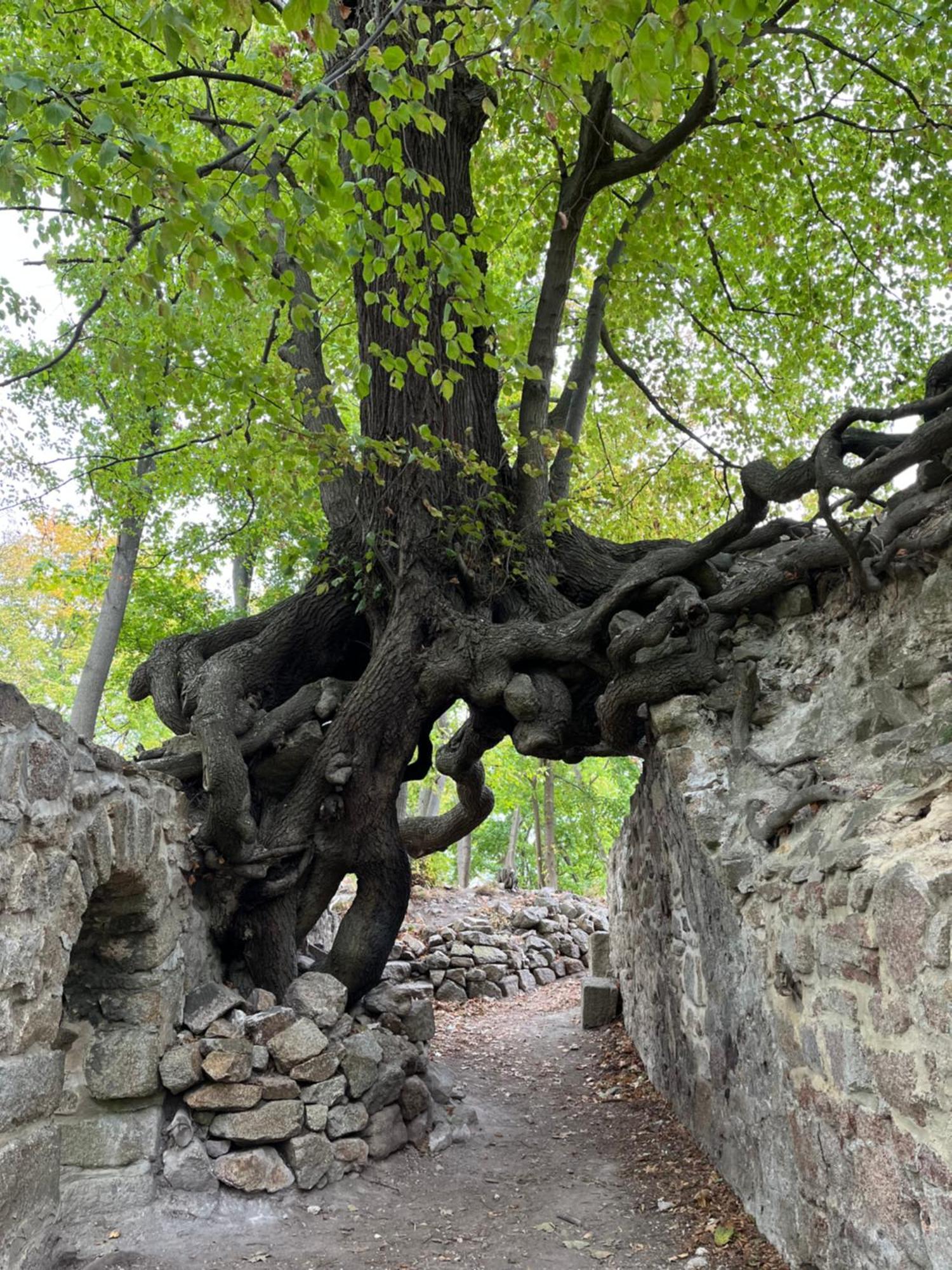 Вилла "Kleinstes Haus Von Blankenburg" Urlaub In Einem Einzigartigen Baudenkmal Бланкенбург Экстерьер фото